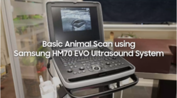 Veterinary ultrasound demo by Dr. Iwayoshi Isamu using HM70 EVO ultrasound machine