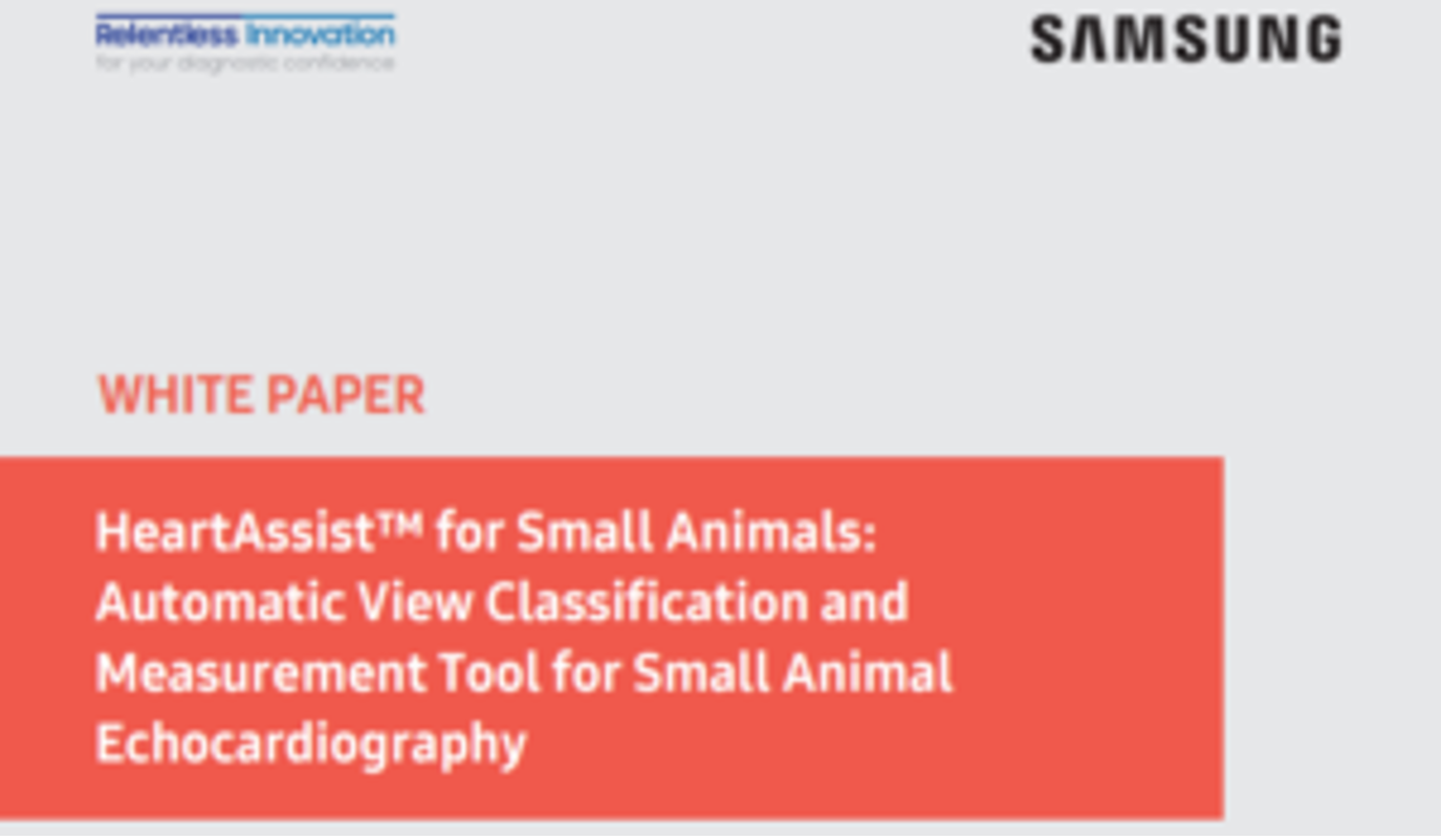 White Paper on How AI Is Transforming Veterinary Echocardiography for Small Animals