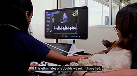 Customer testimonial on veterinary ultrasound with Dr. Joe Miceli