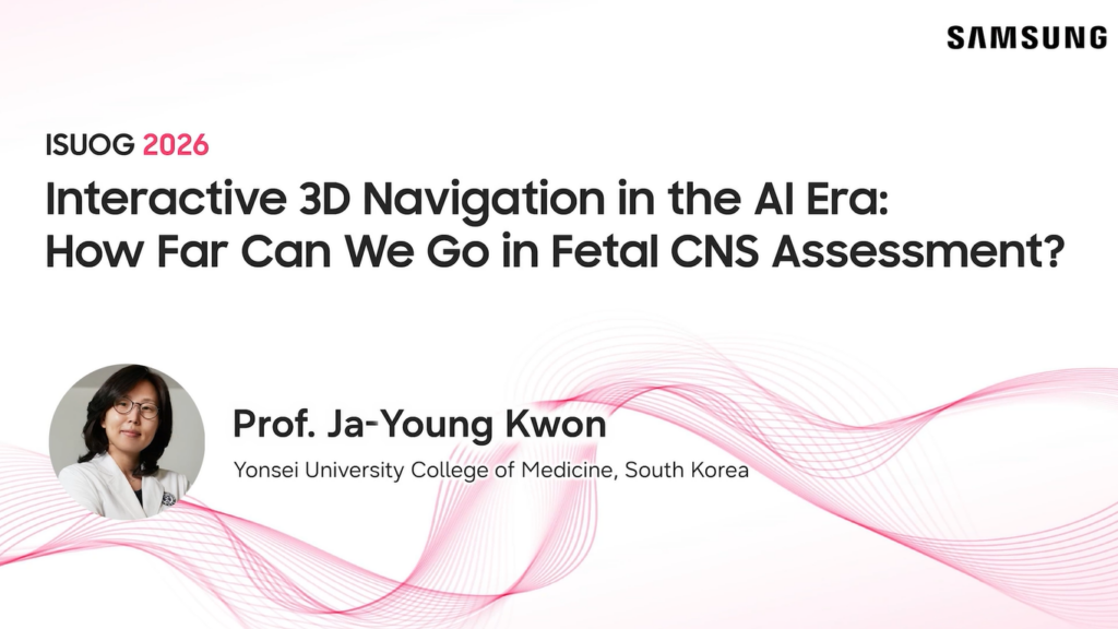 Interactive 3D Navigation in the AI Era: How Far Can We Go in Fetal CNS Assessment?